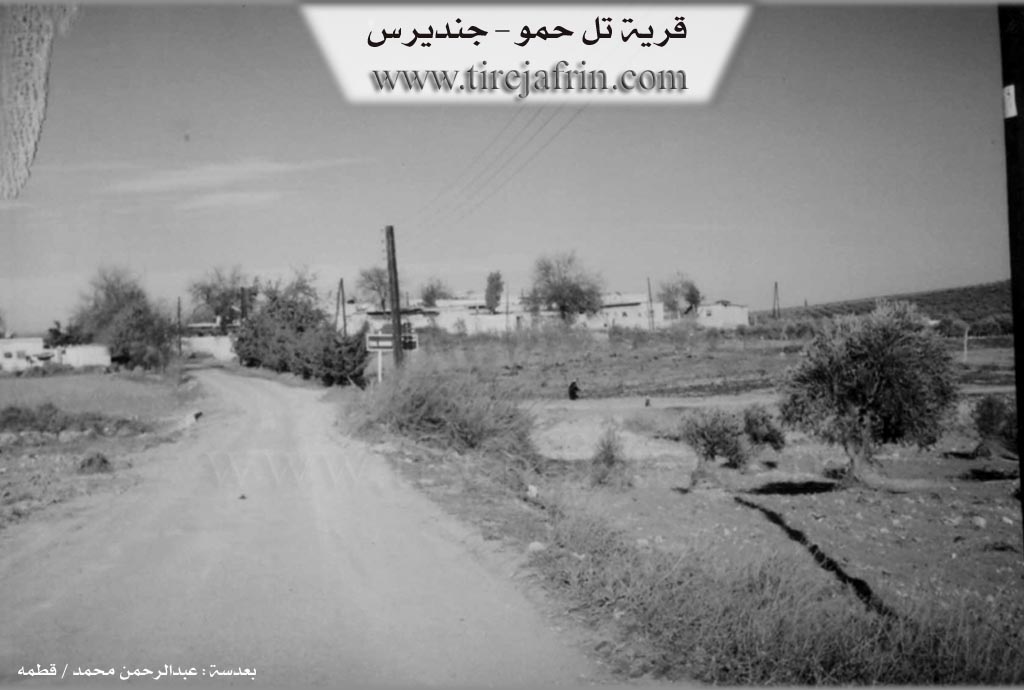 Photo of Til Ĥemo